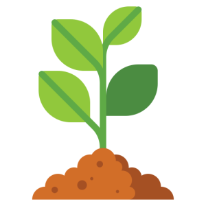 Plantas